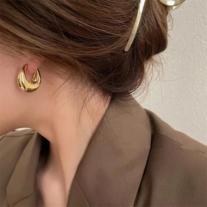 Daily Wear Gold Earrings